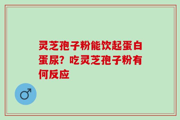 灵芝孢子粉能饮起蛋白蛋尿？吃灵芝孢子粉有何反应