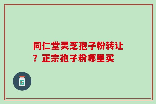 同仁堂灵芝孢子粉转让？正宗孢子粉哪里买