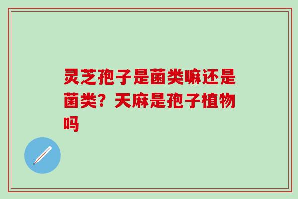 灵芝孢子是菌类嘛还是菌类？天麻是孢子植物吗