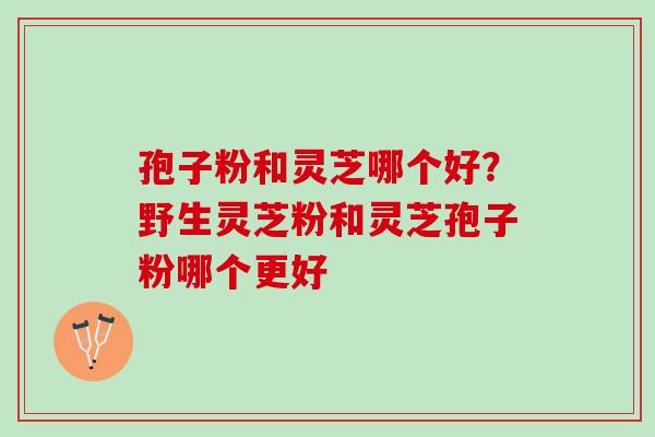 孢子粉和灵芝哪个好？野生灵芝粉和灵芝孢子粉哪个更好