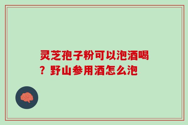 灵芝孢子粉可以泡酒喝？野山参用酒怎么泡