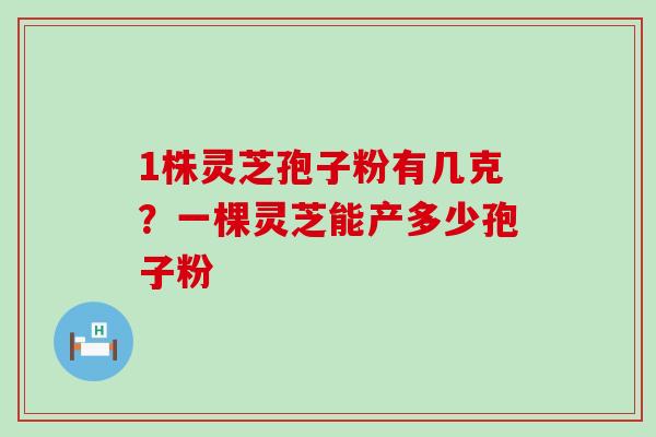 1株灵芝孢子粉有几克？一棵灵芝能产多少孢子粉