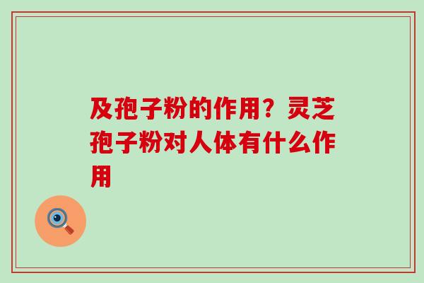 及孢子粉的作用？灵芝孢子粉对人体有什么作用
