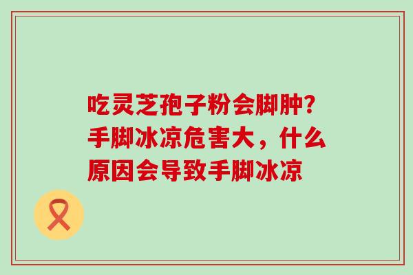 吃灵芝孢子粉会脚肿？手脚冰凉危害大，什么原因会导致手脚冰凉