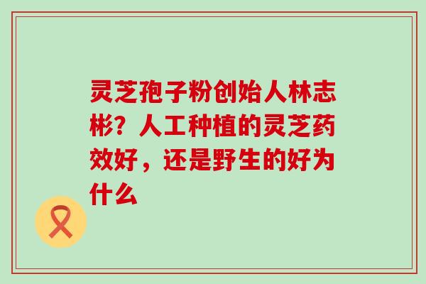 灵芝孢子粉创始人林志彬？人工种植的灵芝药效好，还是野生的好为什么