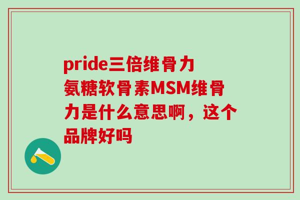 pride三倍维骨力氨糖软骨素MSM维骨力是什么意思啊，这个品牌好吗
