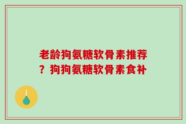 老龄狗氨糖软骨素推荐？狗狗氨糖软骨素食补