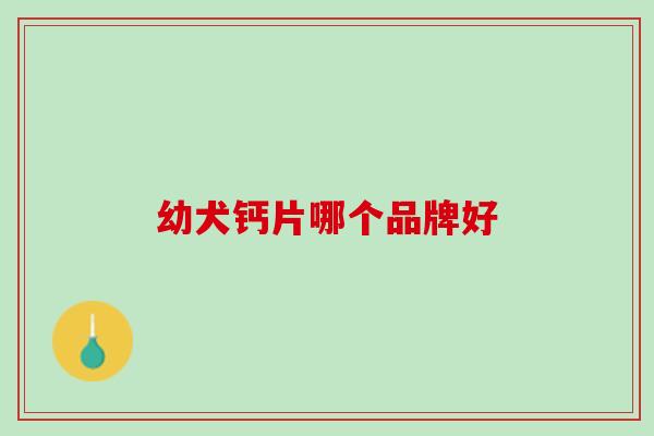 幼犬钙片哪个品牌好