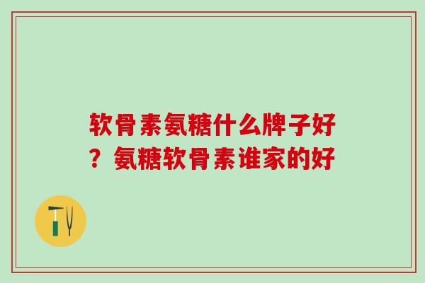 软骨素氨糖什么牌子好？氨糖软骨素谁家的好
