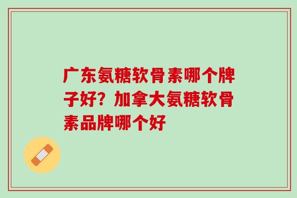 广东氨糖软骨素哪个牌子好？加拿大氨糖软骨素品牌哪个好