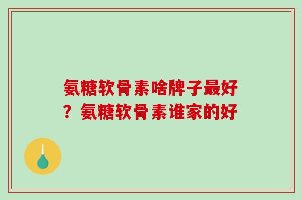 氨糖软骨素啥牌子最好？氨糖软骨素谁家的好