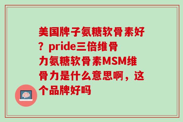 美国牌子氨糖软骨素好？pride三倍维骨力氨糖软骨素MSM维骨力是什么意思啊，这个品牌好吗