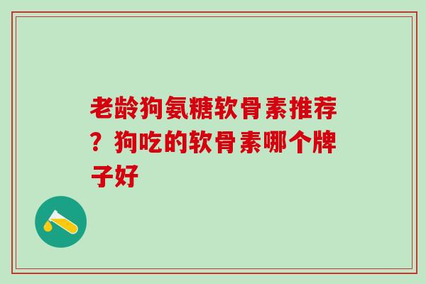 老龄狗氨糖软骨素推荐？狗吃的软骨素哪个牌子好