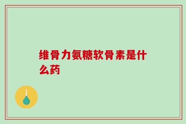 维骨力氨糖软骨素是什么药