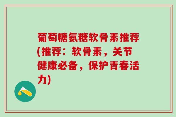 葡萄糖氨糖软骨素推荐(推荐：软骨素，关节健康必备，保护青春活力)