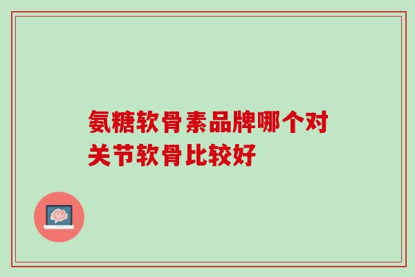 氨糖软骨素品牌哪个对关节软骨比较好