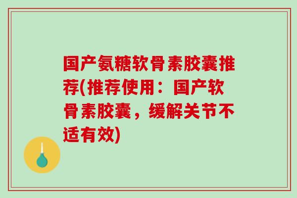 国产氨糖软骨素胶囊推荐(推荐使用：国产软骨素胶囊，缓解关节不适有效)