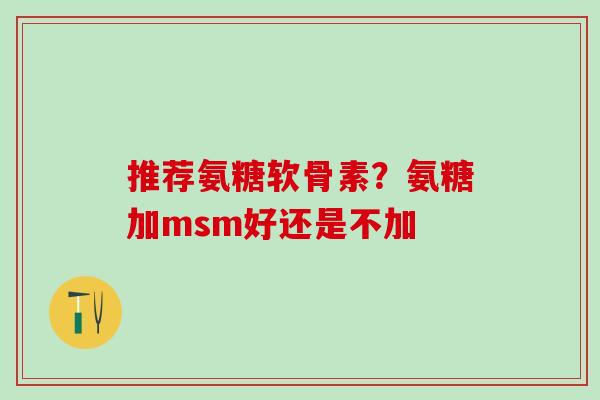 推荐氨糖软骨素？氨糖加msm好还是不加