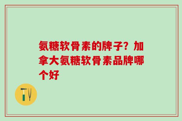 氨糖软骨素的牌子？加拿大氨糖软骨素品牌哪个好