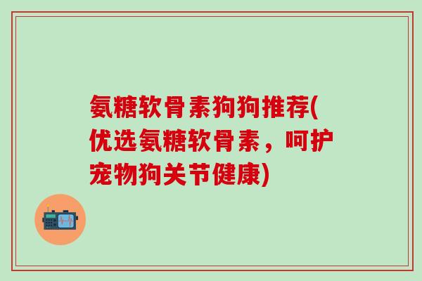 氨糖软骨素狗狗推荐(优选氨糖软骨素，呵护宠物狗关节健康)
