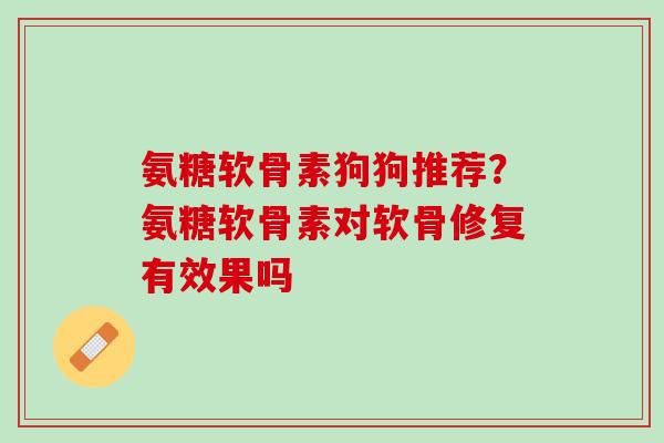 氨糖软骨素狗狗推荐？氨糖软骨素对软骨修复有效果吗