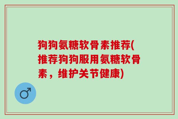 狗狗氨糖软骨素推荐(推荐狗狗服用氨糖软骨素，维护关节健康)
