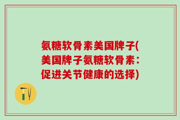 氨糖软骨素美国牌子(美国牌子氨糖软骨素：促进关节健康的选择)