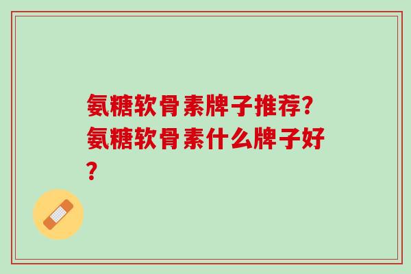 氨糖软骨素牌子推荐？氨糖软骨素什么牌子好？