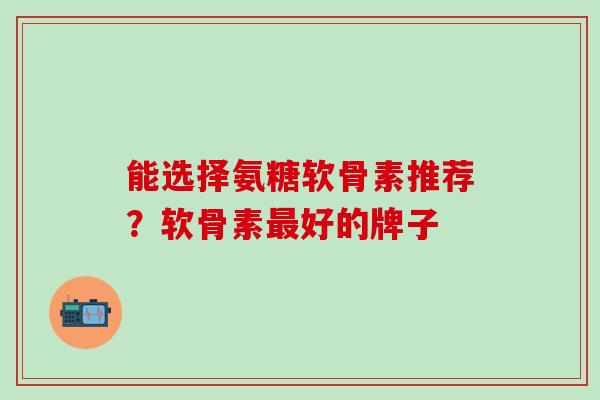 能选择氨糖软骨素推荐？软骨素最好的牌子