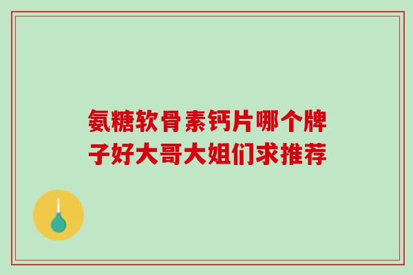 氨糖软骨素钙片哪个牌子好大哥大姐们求推荐