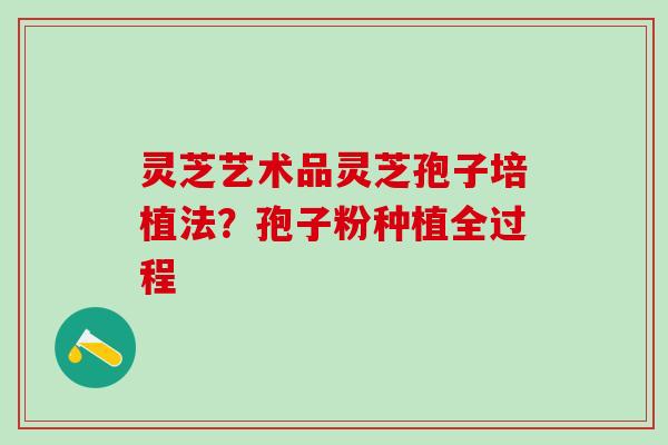 灵芝艺术品灵芝孢子培植法？孢子粉种植全过程