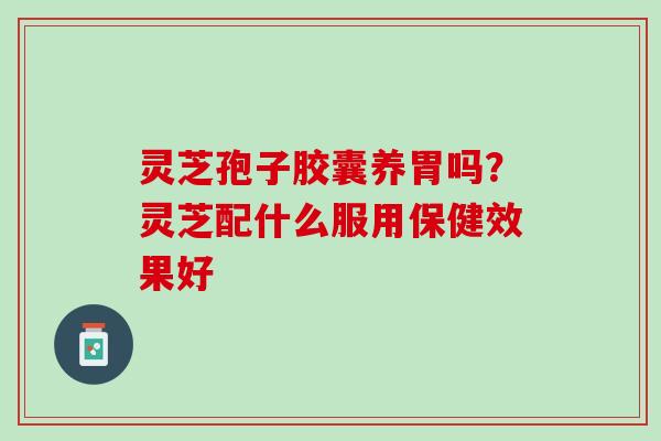 灵芝孢子胶囊养胃吗？灵芝配什么服用保健效果好
