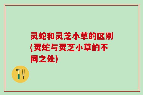 灵蛇和灵芝小草的区别(灵蛇与灵芝小草的不同之处)