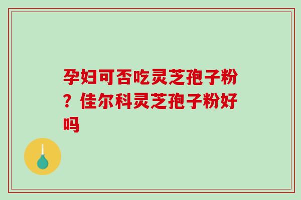 孕妇可否吃灵芝孢子粉？佳尔科灵芝孢子粉好吗