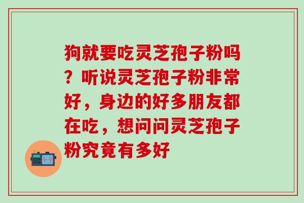 狗就要吃灵芝孢子粉吗？听说灵芝孢子粉非常好，身边的好多朋友都在吃，想问问灵芝孢子粉究竟有多好
