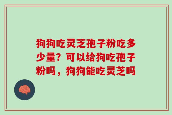 狗狗吃灵芝孢子粉吃多少量？可以给狗吃孢子粉吗，狗狗能吃灵芝吗