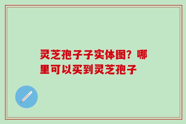 灵芝孢子子实体图？哪里可以买到灵芝孢子