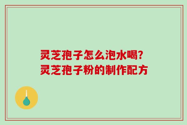 灵芝孢子怎么泡水喝？灵芝孢子粉的制作配方