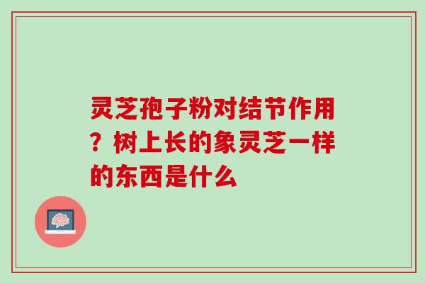 灵芝孢子粉对结节作用？树上长的象灵芝一样的东西是什么