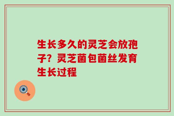 生长多久的灵芝会放孢子？灵芝菌包菌丝发育生长过程