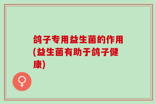 鸽子专用益生菌的作用(益生菌有助于鸽子健康)