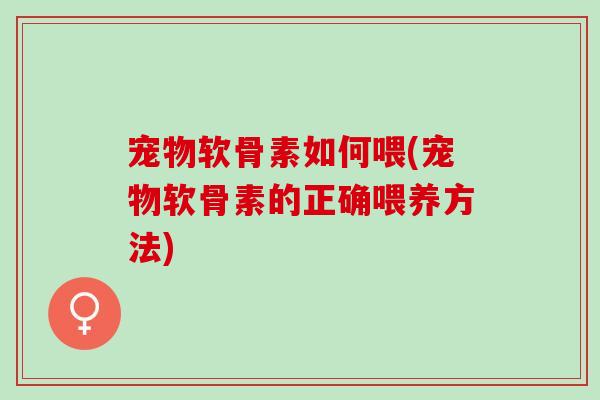 宠物软骨素如何喂(宠物软骨素的正确喂养方法)