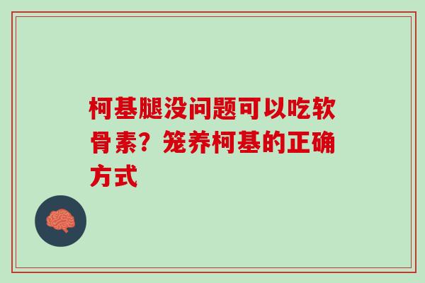 柯基腿没问题可以吃软骨素？笼养柯基的正确方式