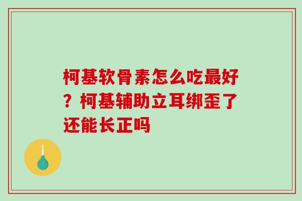 柯基软骨素怎么吃最好？柯基辅助立耳绑歪了还能长正吗