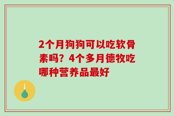2个月狗狗可以吃软骨素吗？4个多月德牧吃哪种营养品最好