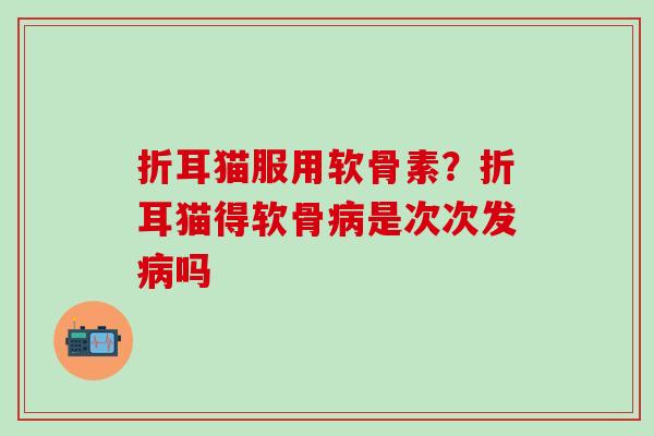 折耳猫服用软骨素？折耳猫得软骨病是次次发病吗