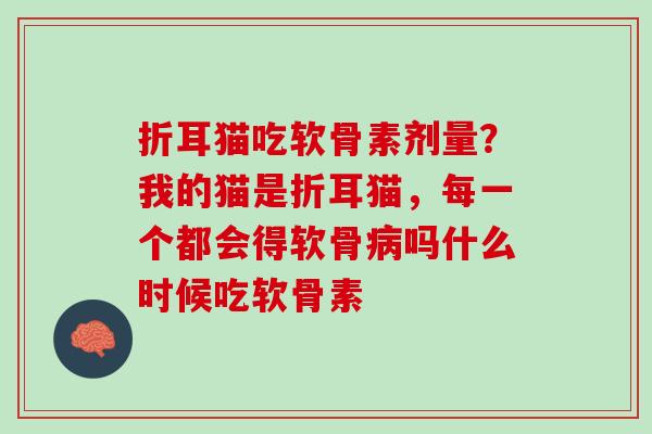 折耳猫吃软骨素剂量？我的猫是折耳猫，每一个都会得软骨病吗什么时候吃软骨素