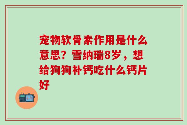 宠物软骨素作用是什么意思？雪纳瑞8岁，想给狗狗补钙吃什么钙片好