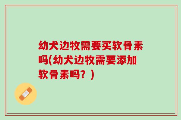幼犬边牧需要买软骨素吗(幼犬边牧需要添加软骨素吗？)