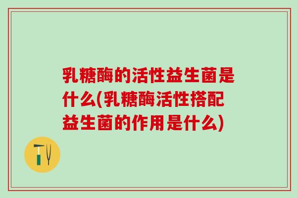 乳糖酶的活性益生菌是什么(乳糖酶活性搭配益生菌的作用是什么)